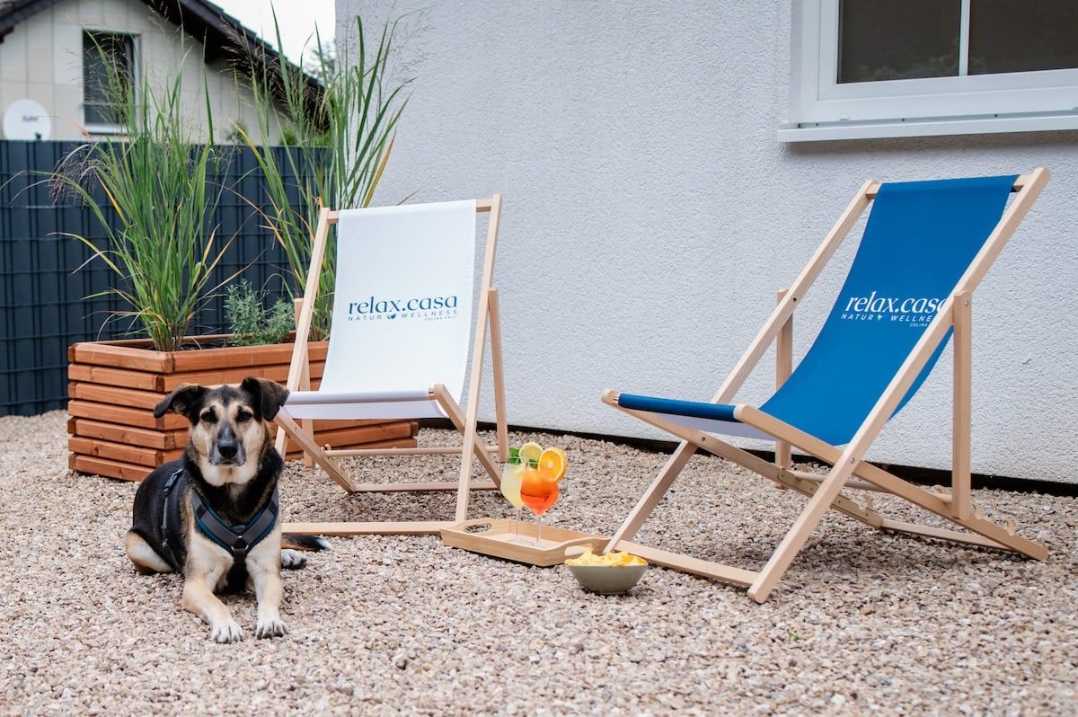 Hund liegt neben zwei Liegestühlen mit relax.casa Schriftzug